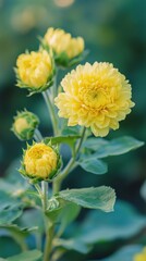 Vibrant sunflowers bloom along a peaceful street surrounded by autumn leaves