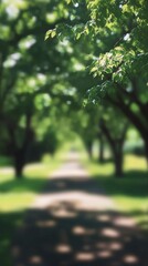 Fototapeta premium Lush green pathway through a serene park on a bright sunny day