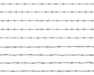 Black silhouette of the barbed wire on a white background 