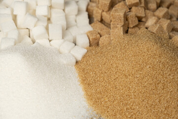 Types of sugar - cane unrefined and white beet refined, crystalline and in the form of cubes.