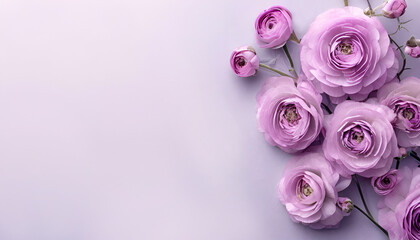Postcard with a beautiful purple Ranunculus flower. Space for text.