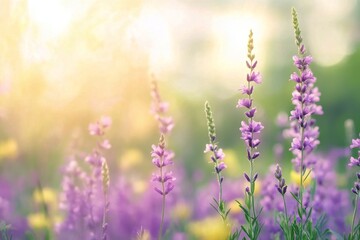 Fototapeta premium Colorful field of wildflowers in bloom with mountains in the background during spring
