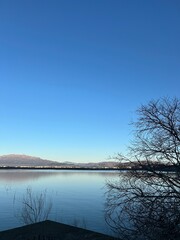 reflection of trees in water