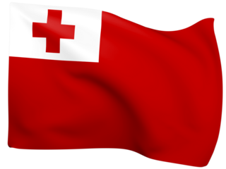 3d Flags Of Tonga.