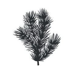 Spruce twig with needles. Pine tree branch. Christmas traditional plant. Vector graphic illustration. Winter holiday background for home interior. Festive clipart for postcard, winow, print, packaging
