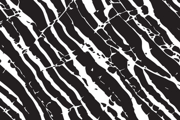 Abstract background. Monochrome texture. Black and white grunge. Image includes a effect the black and white tones.