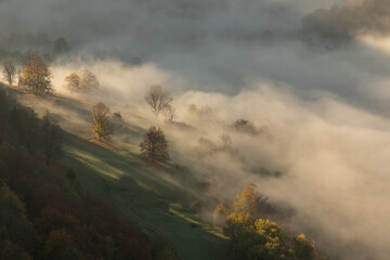 Fototapeta premium Nebelmeer im Lenninger Tal - Streuobstwiesen werden von der Morgensonne schön angestrahlt.