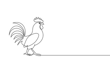 Chickens rooster continuous line drawing and minimalist style isolate outline  vector icon
