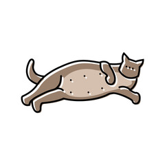 pregnant cat breeding color icon vector. pregnant cat breeding sign. isolated symbol illustration