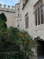 Orange trees in a lush courtyard beside a historical Gothic building