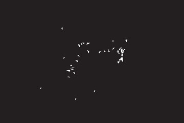 Black and white grunge. Monochrome Grunge Pattern. Retro Rough Halftone Background. Grunge Urban Background.