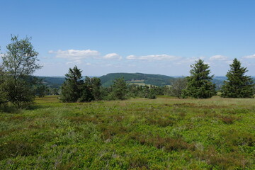 Hochheide auf dem Ettelsberg bei Willingen Upland im Rothaargebirge