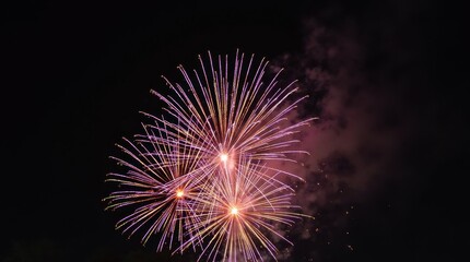 Obraz premium Fireworks Illuminating Night Sky