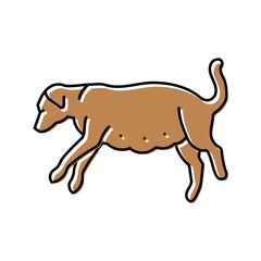 pregnant dog color icon vector. pregnant dog sign. isolated symbol illustration