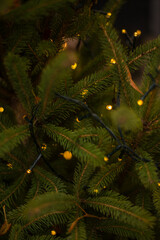 New Year's and Christmas decor, holidays