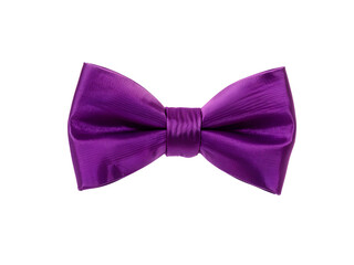 fashionable eggplant bow tie isolated on white background
