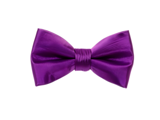 fashionable eggplant bow tie isolated on white background
