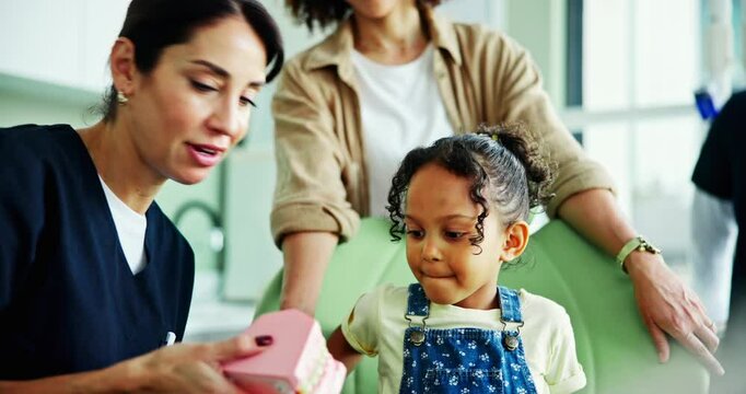 Dentist, high five and tooth model with girl, explanation and appointment for checkup. Child healthcare, advice and consulting with support for dental care, oral hygiene or cleaning service in clinic