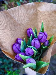 Purple tulips wrapped in brown paper, spring floral bouquet