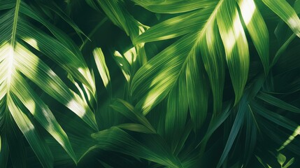 Vibrant green leaf texture illuminated by sunlight creating an abstract natural background for design and decoration purposes.
