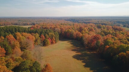Obraz premium Aerial view of vibrant autumn foliage showcasing a forest landscape with colorful trees and clear skies in a serene rural setting