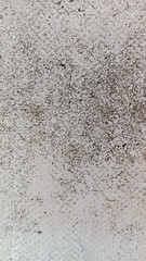 Close-up view of a textured surface featuring speckled patterns, weathered stains, and natural imperfections, offering an abstract visual with earthy tones and raw details.
