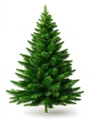 Fototapeta premium Realistic Green Christmas Tree on White Background