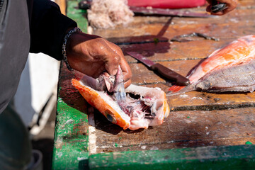 From Catch to Table, Fisherman Deboning Fresh Fish on a Rustic Surface