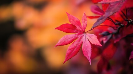 Vibrant autumn leaves showcasing stunning red and orange hues in a blurred background, capturing the essence of fall foliage beauty.