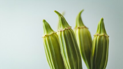 Fototapeta premium Close up image of fresh okra pods against a subtle white background highlighting their texture and vibrant green color.
