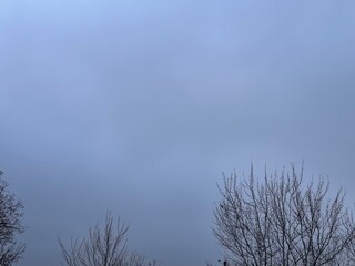 clouds and trees