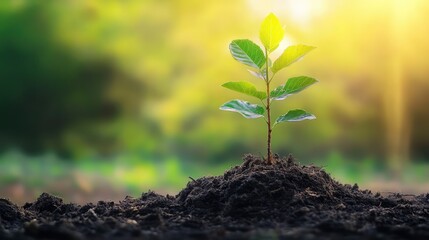 Tree planting initiative for Arbor Day promoting environmental conservation and sustainability in a lush green setting.