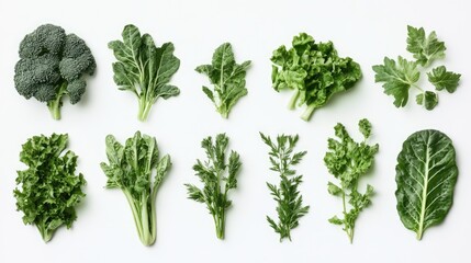 Assorted fresh green leafy vegetables arranged neatly on a white background perfect for healthy eating and nutrition concepts