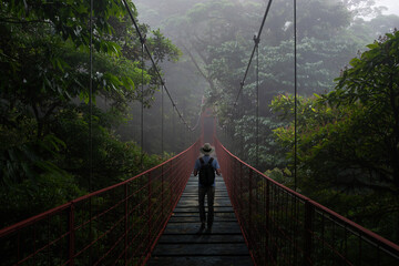 Hiker in the suspension bridge in rainforest