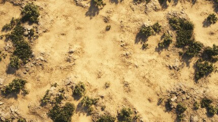 Aerial view of arid desert landscape showcasing sandy terrain and scattered vegetation among rocky patches