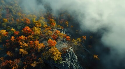 Fototapeta premium Aerial view of vibrant autumn forest foliage on mountain landscape with clouds creating a serene and picturesque natural scene