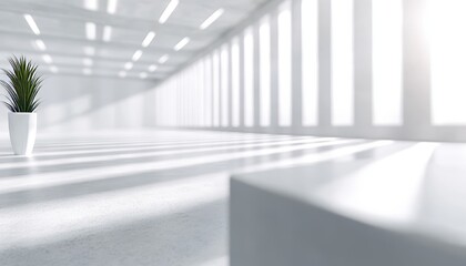 Obraz premium Empty Modern Office Interior with Sunlight Casting Shadows, Minimal Decor, and a Potted Plant.