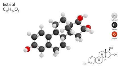 Molecule: Estriol or Oestriol. Naturally occurring steroid hormone. Molecular structure. Formula: C18H24O3. Chemical model: Ball and stick. White background. 3D illustration.