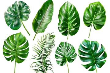 Obraz premium Remote collaboration