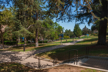 The image shows a serene UCLA campus with pathways, mature trees, and green lawns. Blue and gold banners add school spirit under a clear blue sky.