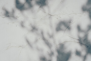 Soft shadows on textured wall create serene and calming atmosphere, perfect for artistic backgrounds or minimalist designs