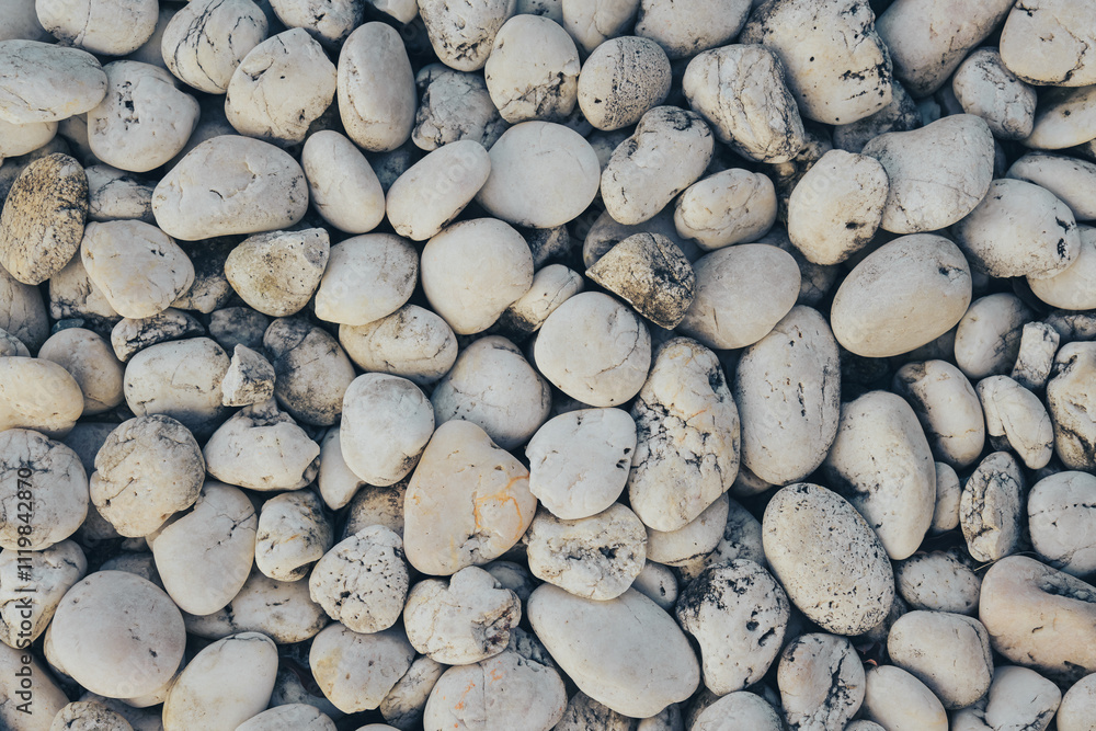 Poster smooth white pebbles scattered on ground create natural texture. varying shapes and sizes of stones 