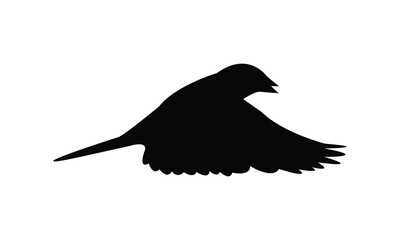 Fototapeta premium Flying Sparrow Bird Silhouette Design And Vector Illustration. 