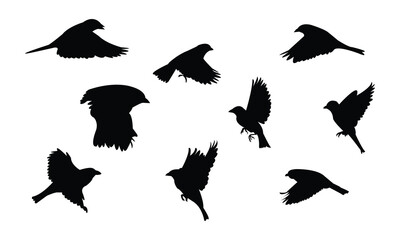 Flying Sparrow Bird Silhouette Design  And Vector Illustration.  © Syed Zakir Hossen