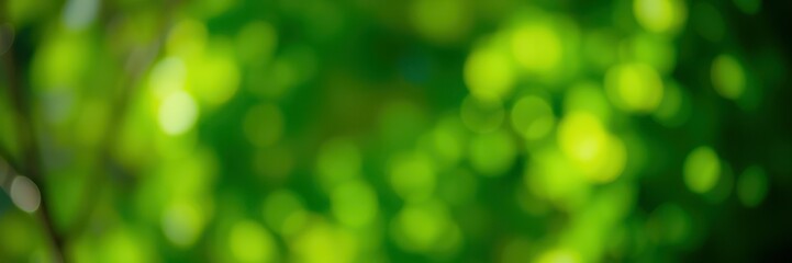 Vibrant green bokeh background showcasing nature's beauty in soft sunlight during spring