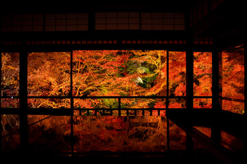 日本の京都にある瑠璃光院の紅葉と夜景