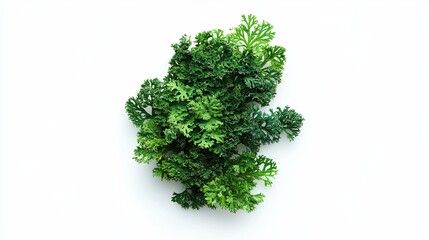 Fototapeta premium Artificial Green Plant, Sprig, Decoration