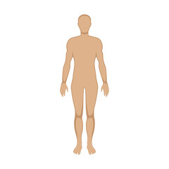 Male body vector silhouette illustration isolated on white background