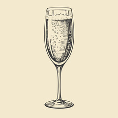 Champagne Cocktail Hand Drawn. Summer Cocktail Drink Vector Illustration