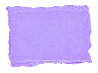 Isolated cut out torn piece of blank purple violet  paper note cardboard with texture and copy space for text, transparent png background design element